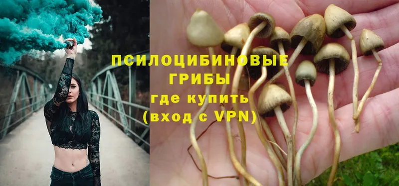 Галлюциногенные грибы Magic Shrooms  Копейск 