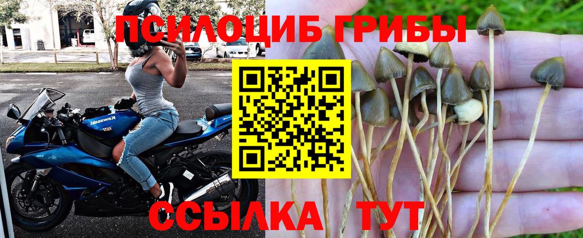 Псилоцибиновые грибы мицелий  Копейск 