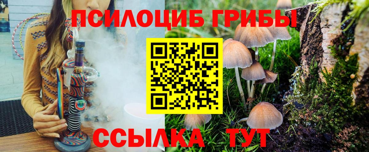 Псилоцибиновые грибы мицелий  Вход с VPN  Копейск 