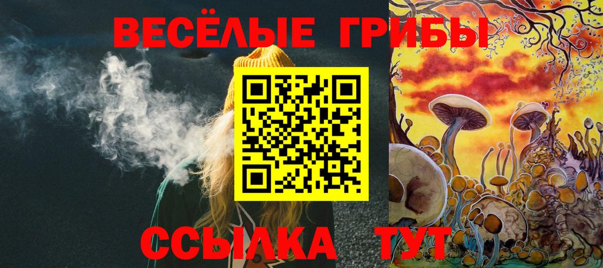 Псилоцибиновые грибы GOLDEN TEACHER Копейск