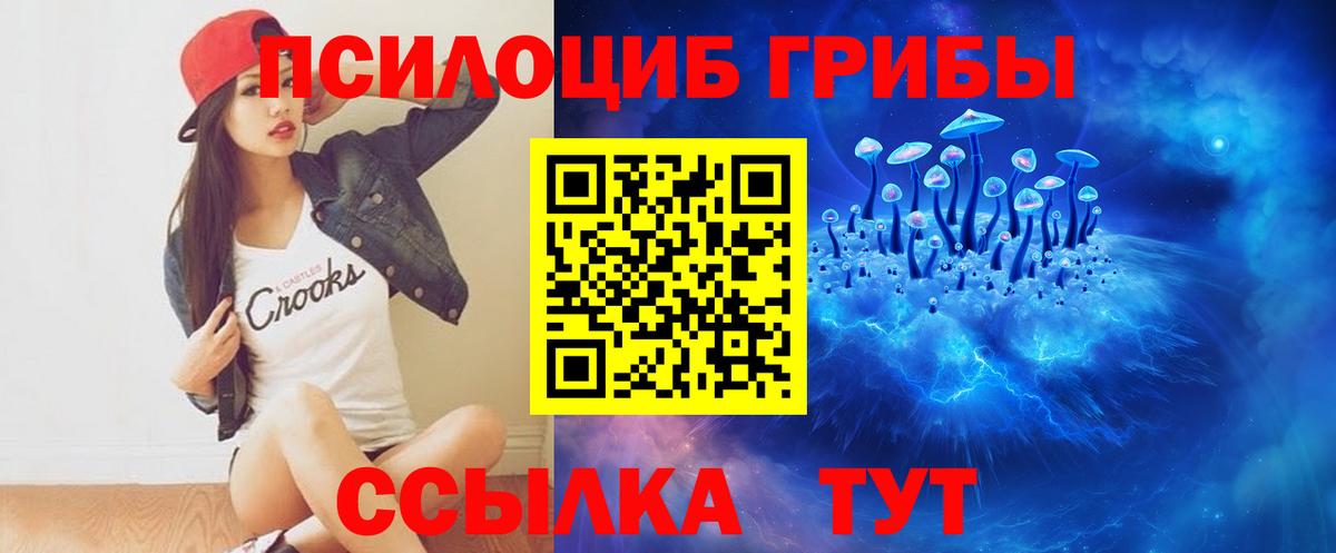 Псилоцибиновые грибы прущие грибы Копейск